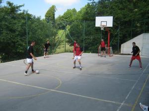 Livške Ravne (trojke 2009)_6