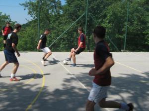 Livške Ravne (trojke 2009)_8