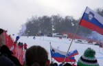 Zlata lisica 2013_2