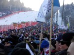 Zlata lisica 2013_7